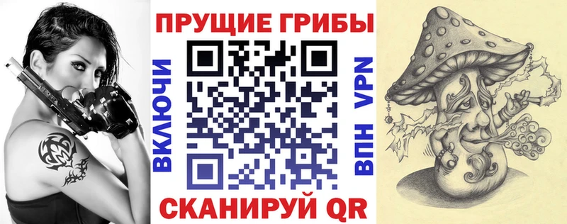 Псилоцибиновые грибы мицелий  наркота  Черепаново 